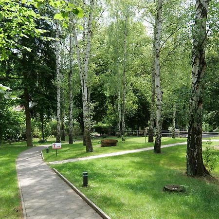 Penzion Harmony Javornik Ctyrkoly Extérieur photo